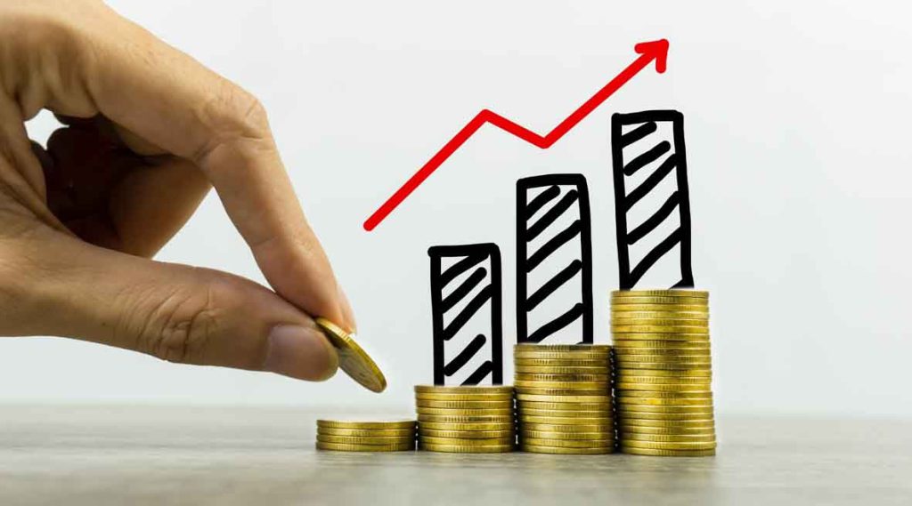 A Beginner's Guide to Banking and Financial Services: Understanding the Basics 2 Investment